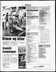 Síða 15