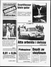 Síða 1