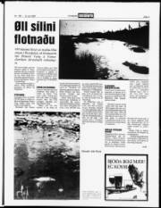 Síða 3