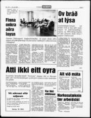 Síða 3
