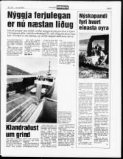 Síða 5
