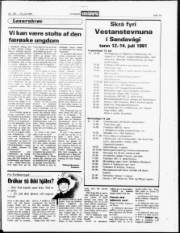 Síða 13