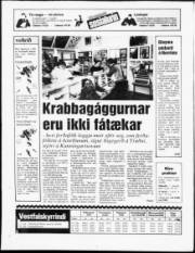 Síða 16