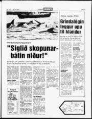 Síða 3