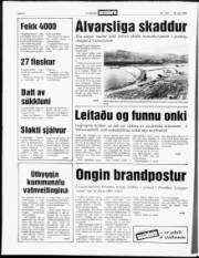 Síða 6
