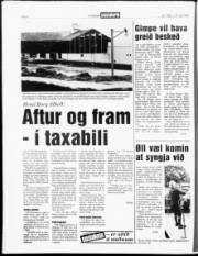 Síða 4