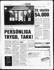 Síða 3