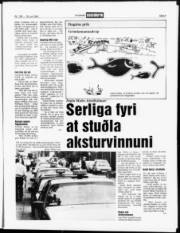 Síða 5