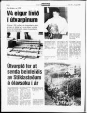 Síða 6