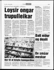 Síða 3