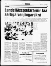 Síða 12