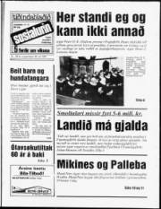 Síða 1