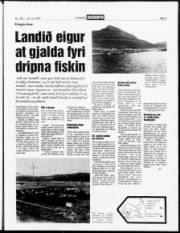 Síða 3