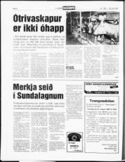 Síða 6