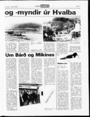 Síða 11