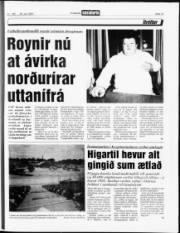 Síða 13