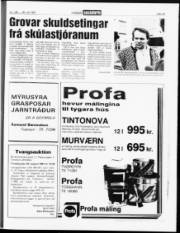 Síða 15