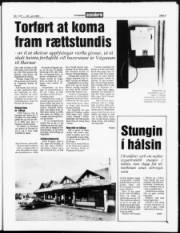 Síða 3