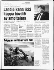 Síða 3