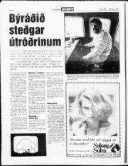 Síða 4