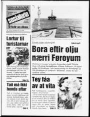 Síða 1