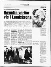 Síða 11