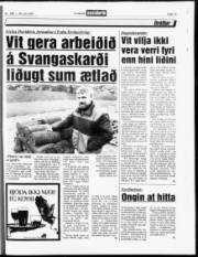 Síða 13