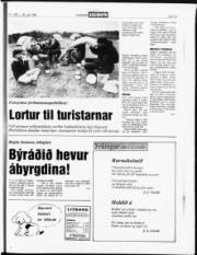 Síða 15