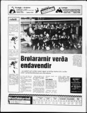 Síða 20