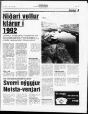 Síða 15