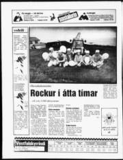 Síða 20