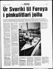 Síða 3