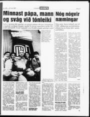 Síða 17