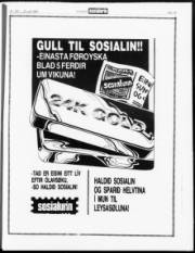 Síða 19
