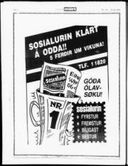 Síða 20