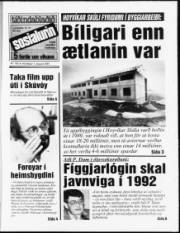 Síða 1