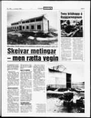 Síða 3