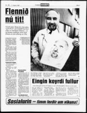 Síða 9