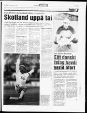Síða 15