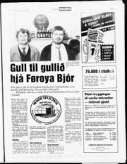 Síða 5