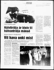 Síða 6