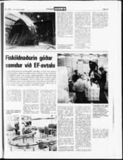 Síða 15