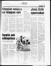 Síða 19