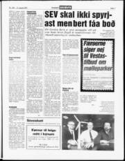 Síða 7