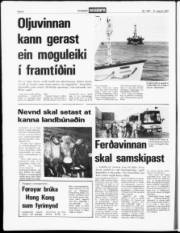 Síða 8