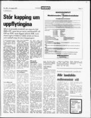 Síða 17