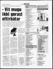 Síða 19
