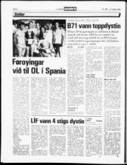 Síða 6