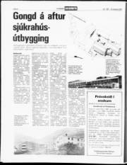 Síða 8