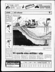 Síða 20